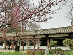 -西安青龙寺遗址景区