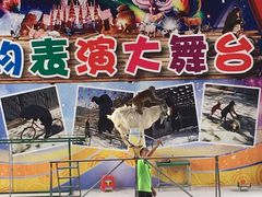 -田野绿世界