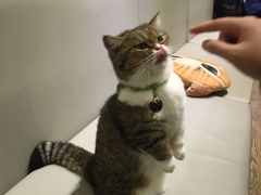 -小时光咖啡馆(开森度假森林店)