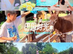 -HERRE·FARM 赫尔露营农场·团建聚会包场