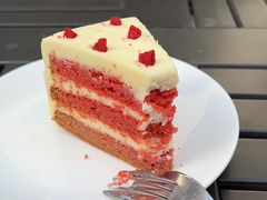 -Madeleine玛德琳(永平里店)