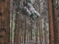-山王坪喀斯特国家生态公园