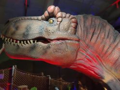 -恐龙探索乐园(磁器口店)