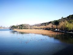 -杭州西湖风景名胜区-钱塘苏小小之墓
