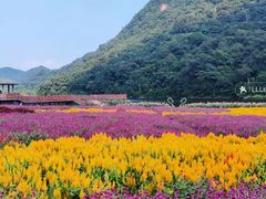 -广州市石门国家森林公园