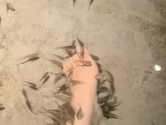 -宝丽金大酒店·洗浴中心