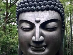 -杭州植物园