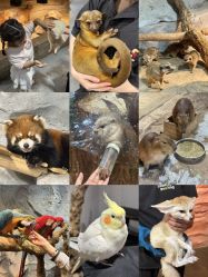 -Zoolung Zoolung动物主题公园(海信广场店)