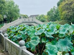 -丝绸小镇荻港古村