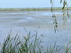 -野鸭湖国家湿地公园