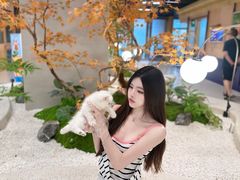 -帕帕拉兹宠物(亚洲旗舰店)