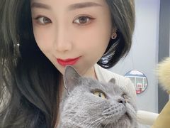 -极木²邸 人与宠物·互动社区