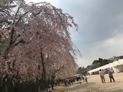 -名古屋城