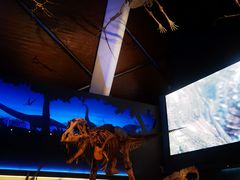 -贝林大翅鲸简餐厅(国家海洋博物馆店)