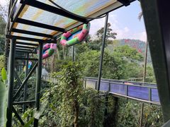 -海南槟榔谷黎苗文化旅游区