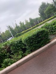 -HEYAN长风荷妍专业脱毛美肤
