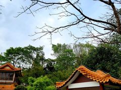 -深圳仙湖植物园