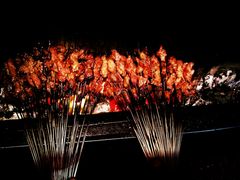 -金二烤肉(早慈巷小区店)