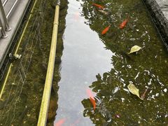 -南宁荔园维景国际酒店·荔园中餐厅