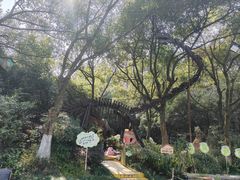 -杭州少年儿童公园