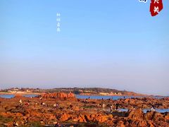 -八大关景区