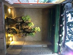 iphone_upload_pic-众宜轩老北京铜锅涮肉·四合院(建国门店)