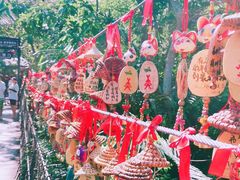 -呀诺达热带雨林