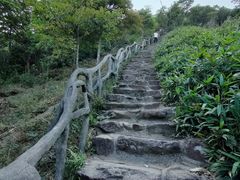 -梧桐山风景名胜区