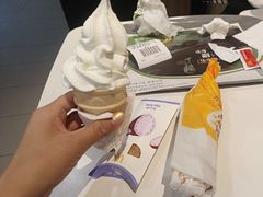 -麦当劳(春风店)