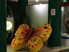 -上海昆虫博物馆