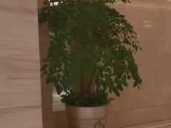 -北京歌华开元大酒店