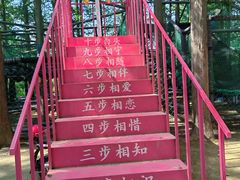 -日照海滨国家森林公园