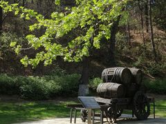 -北京张裕爱斐堡酒庄