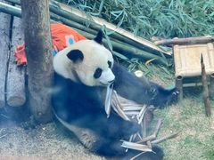 -大连森林动物园