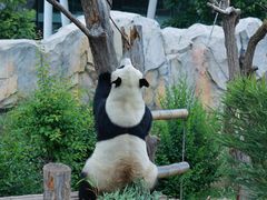 -青藏高原野生动物园
