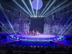 -灵玲国际马戏城