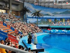 -海合安成都极地海洋公园