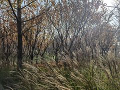 -牛一嘴·兰州牛肉面·大盘鸡(财富中心店)