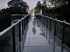 -黄埔油麻山森林公园