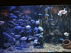 -华夏文旅西安度假区