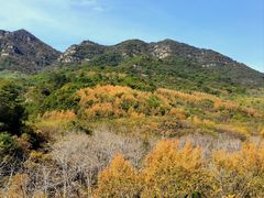 -玉渡山自然风景区