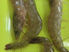 -养牛邓·潮汕牛肉海鲜自助火锅(广州店)
