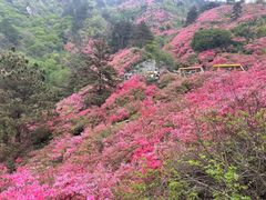 -木兰云雾山