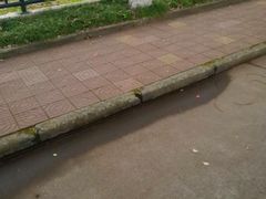-同济大学(沪西校区)