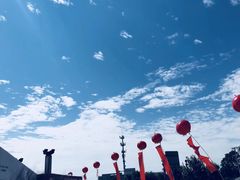 -白洋淀景区