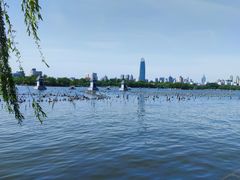 -济南大明湖景区