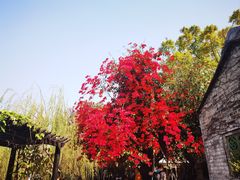 -东莞市可园博物馆