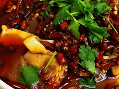 精品毛血旺-成都驻京办餐厅(蜀都宾馆店)