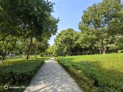 -重庆彩云湖湿地公园