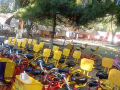 -长白岛森林公园